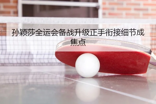 孙颖莎全运会备战升级正手衔接细节成焦点